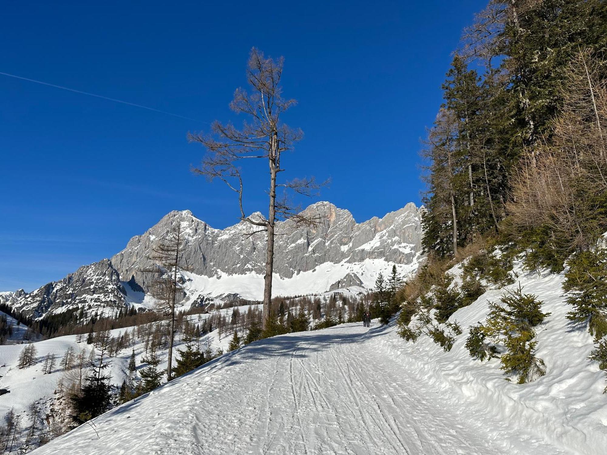 Appartements By Chalet Reiteralm -Sommercard Schladming Exterior photo